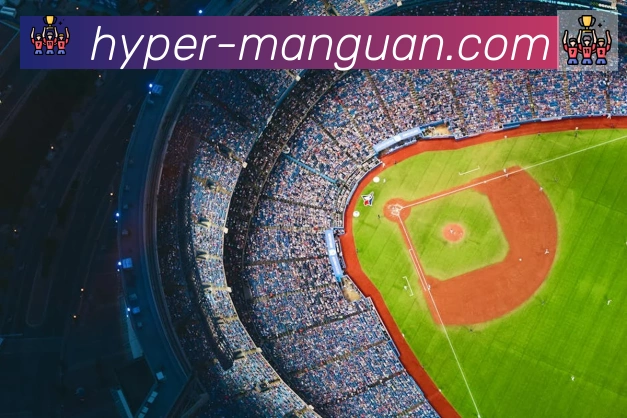满冠体育全站App